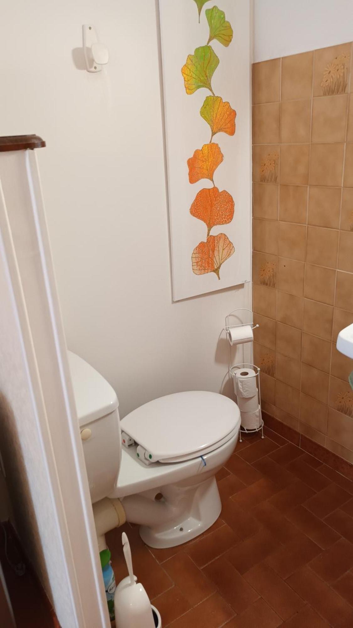 Gentil Coquelicot Apartment Mirepoix  Luaran gambar